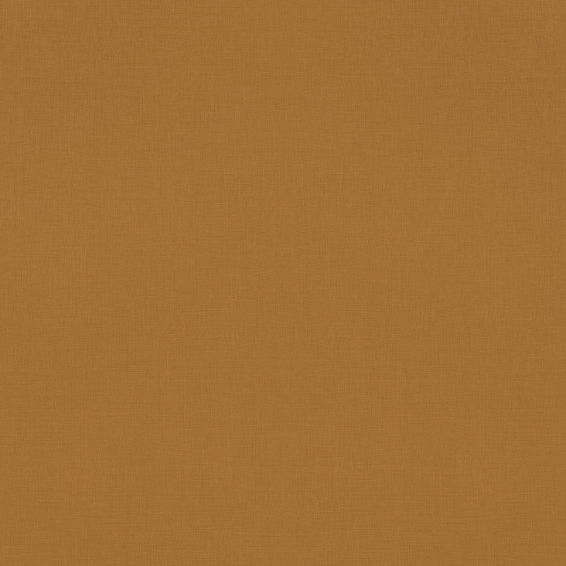 Salsa 531466