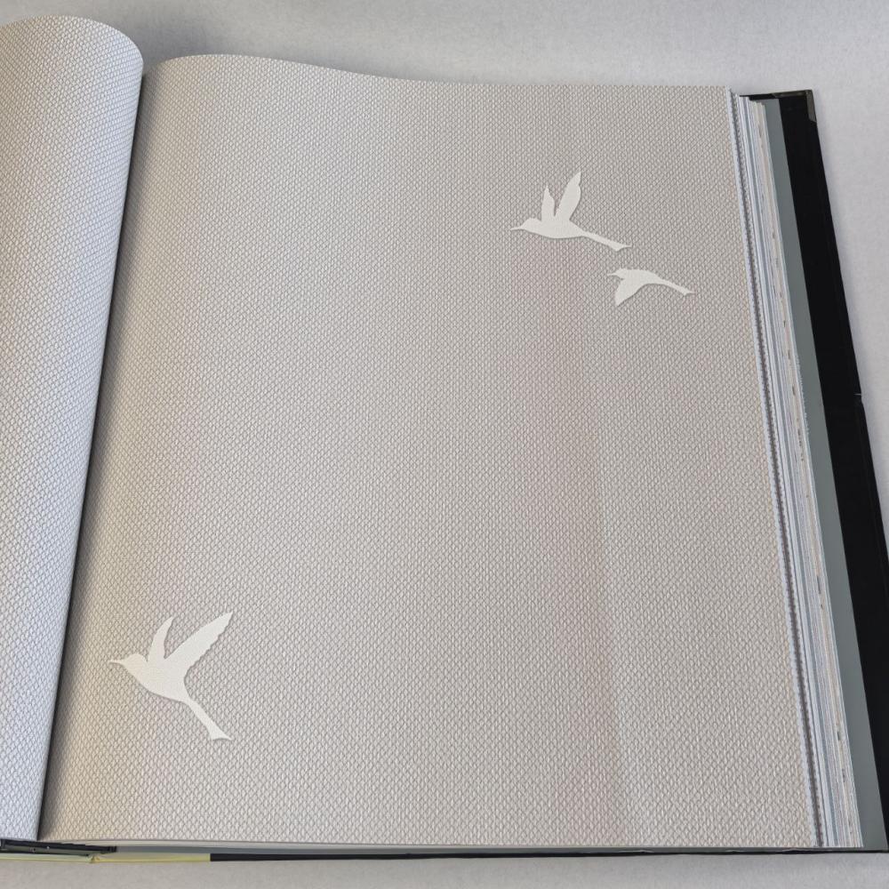 Andrea Rossi Spectrum Box 54458-4