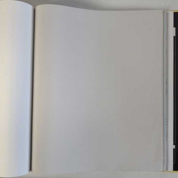 Andrea Rossi Cavolli 54418-5