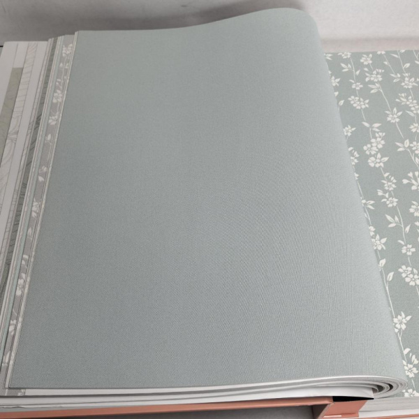 Andrea Rossi Berggi 54450-8