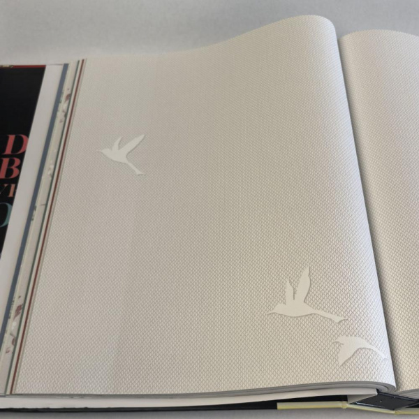 Andrea Rossi Spectrum Box 54458-2