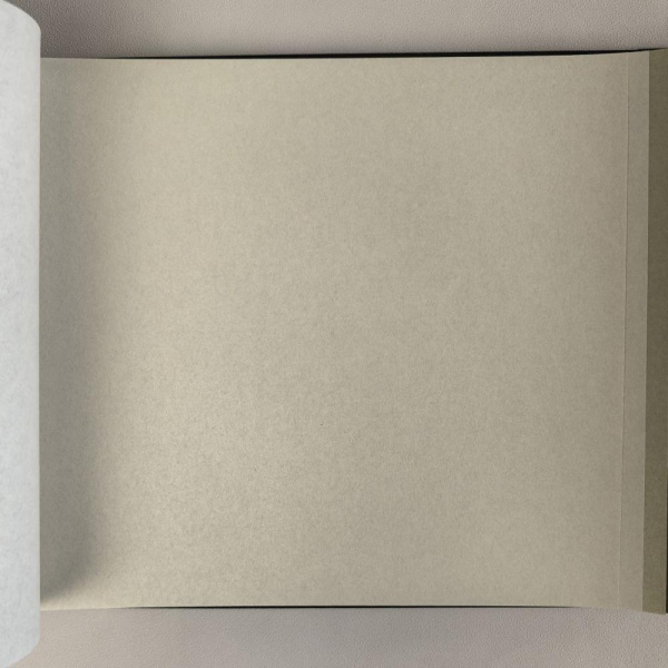 Milassa Ambient AM 9 005 Milassa Ambient AM 9 005